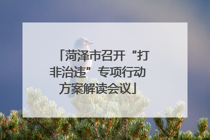 菏泽市召开“打非治违”专项行动方案解读会议