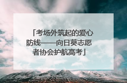 考场外筑起的爱心防线——向日葵志愿者协会护航高考