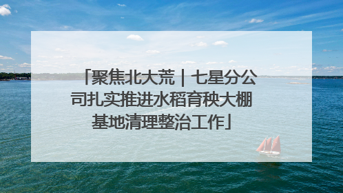 聚焦北大荒｜七星分公司扎实推进水稻育秧大棚基地清理整治工作