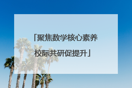 聚焦数学核心素养 校际共研促提升