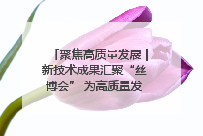 聚焦高质量发展｜新技术成果汇聚“丝博会” 为高质量发展注入新动能