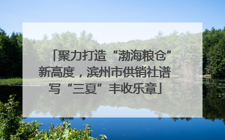 聚力打造“渤海粮仓”新高度，滨州市供销社谱写“三夏”丰收乐章