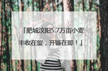 肥城汶阳5.7万亩小麦丰收在望，开镰在即！