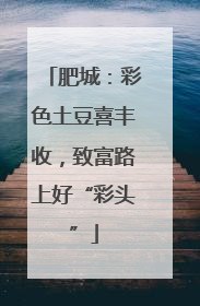 肥城：彩色土豆喜丰收，致富路上好“彩头”