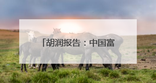胡润报告：中国富裕家庭数量连续2年下降，高净值人群最想要“健康”