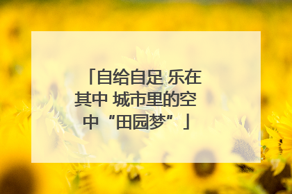 自给自足 乐在其中 城市里的空中“田园梦”