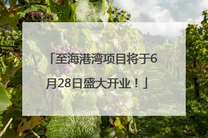 至海港湾项目将于6月28日盛大开业！