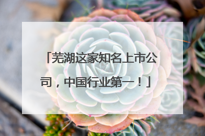 芜湖这家知名上市公司，中国行业第一！