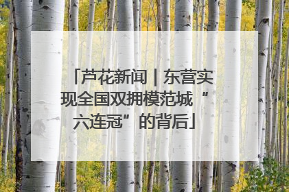芦花新闻｜东营实现全国双拥模范城“六连冠”的背后