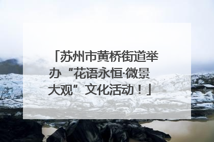 苏州市黄桥街道举办“花语永恒·微景大观”文化活动！