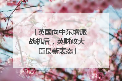 英国向中东增派战机后，英财政大臣最新表态