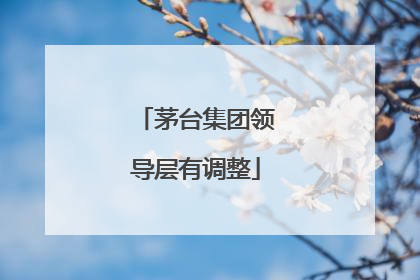 茅台集团领导层有调整