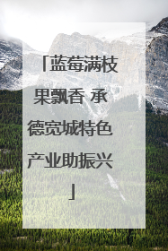 蓝莓满枝果飘香 承德宽城特色产业助振兴