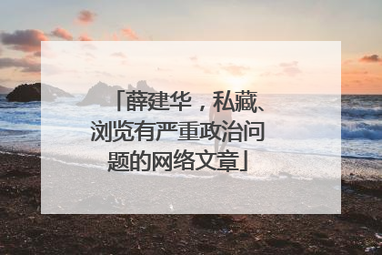 薛建华，私藏、浏览有严重政治问题的网络文章