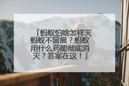 蚂蚁怕啥怎样灭蚂蚁不留痕？蚂蚁用什么药能彻底消灭？答案在这！