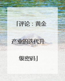 评论：黄金产业的迭代升级密码