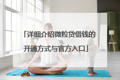 详细介绍微粒贷借钱的开通方式与官方入口