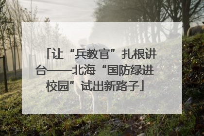 让“兵教官”扎根讲台——北海“国防绿进校园”试出新路子