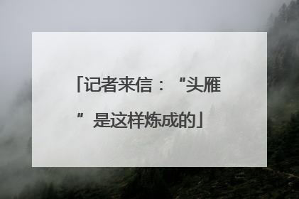 记者来信：“头雁”是这样炼成的