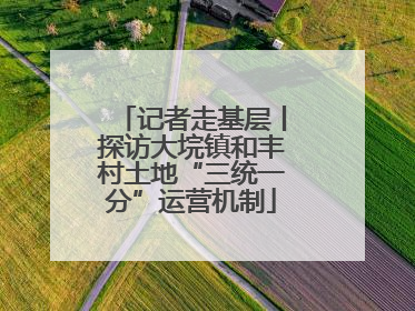 记者走基层丨探访大垸镇和丰村土地“三统一分”运营机制