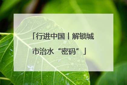 行进中国丨解锁城市治水“密码”