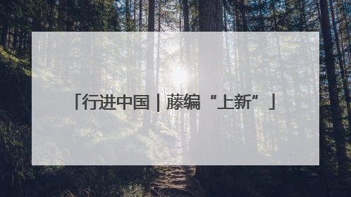 行进中国｜藤编“上新”