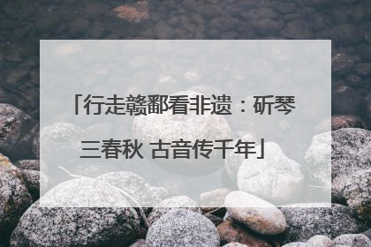 行走赣鄱看非遗：斫琴三春秋 古音传千年