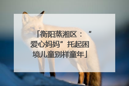 衡阳蒸湘区：“爱心妈妈”托起困境儿童别样童年