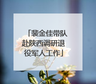 裴金佳带队赴陕西调研退役军人工作