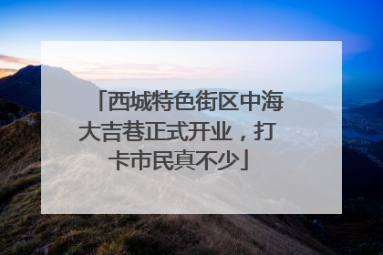 西城特色街区中海大吉巷正式开业，打卡市民真不少