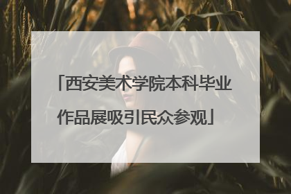 西安美术学院本科毕业作品展吸引民众参观