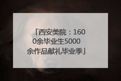 西安美院：1600余毕业生5000余作品献礼毕业季