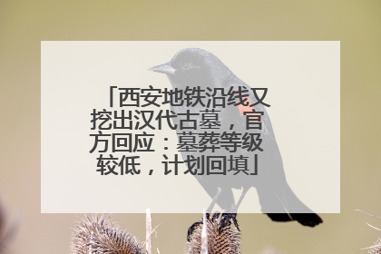 西安地铁沿线又挖出汉代古墓，官方回应：墓葬等级较低，计划回填