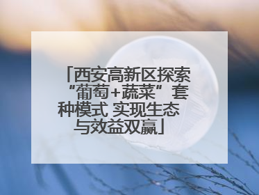 西安高新区探索“葡萄+蔬菜”套种模式 实现生态与效益双赢