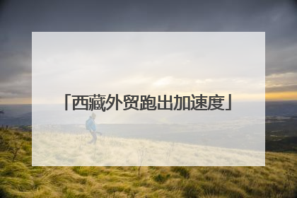 西藏外贸跑出加速度