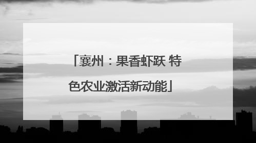 襄州：果香虾跃 特色农业激活新动能