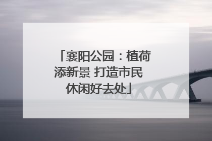 襄阳公园：植荷添新景 打造市民休闲好去处