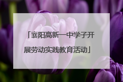 襄阳高新一中学子开展劳动实践教育活动
