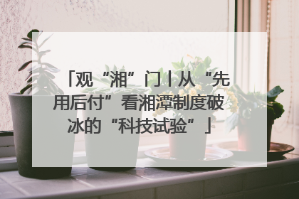 观“湘”门丨从“先用后付”看湘潭制度破冰的“科技试验”