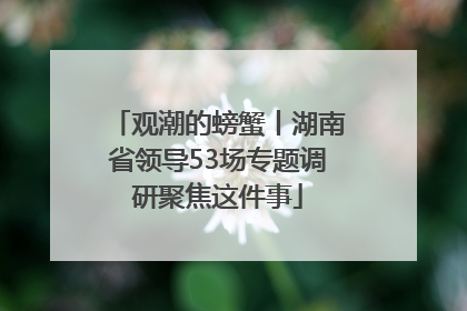 观潮的螃蟹丨湖南省领导53场专题调研聚焦这件事