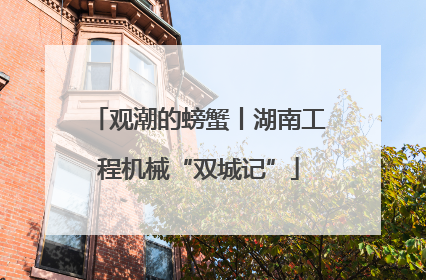 观潮的螃蟹丨湖南工程机械“双城记”