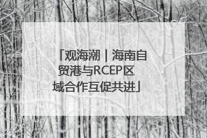 观海潮｜海南自贸港与RCEP区域合作互促共进