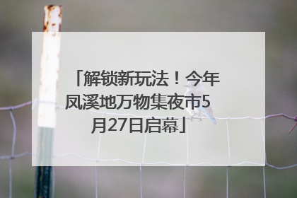 解锁新玩法！今年凤溪地万物集夜市5月27日启幕