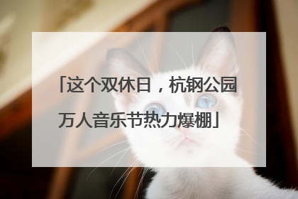 这个双休日，杭钢公园万人音乐节热力爆棚