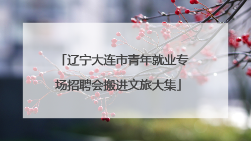 辽宁大连市青年就业专场招聘会搬进文旅大集