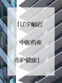 辽宁岫岩：中医药夜市护健康