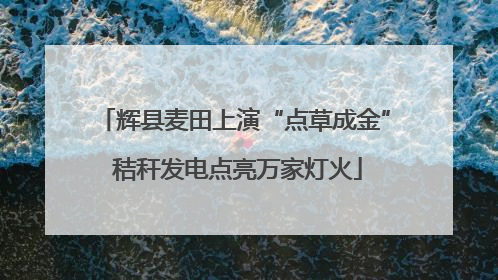 辉县麦田上演“点草成金” 秸秆发电点亮万家灯火