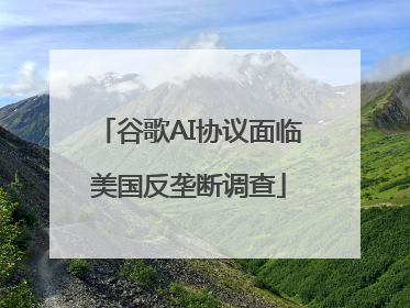 谷歌AI协议面临美国反垄断调查