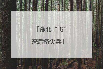 豫北“飞”来后备尖兵