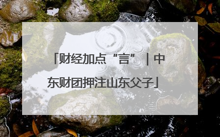 财经加点“言”｜中东财团押注山东父子